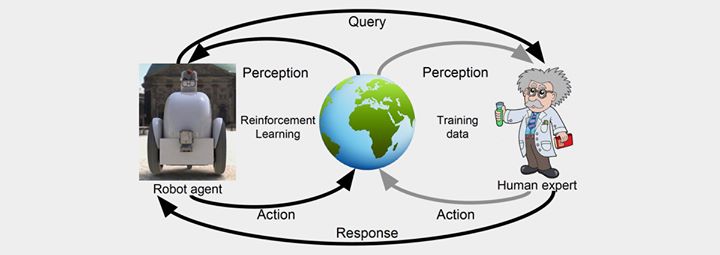 Deep Reinforcement Learning: Real-World Applications