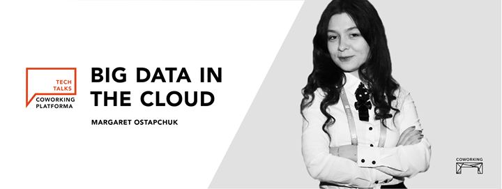 Big Data in the Cloud