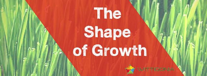 Workshop Seminar “The Shape of Growth”