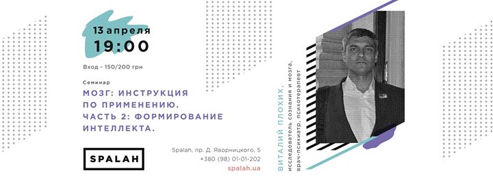 Семинар “Формирование интеллекта“