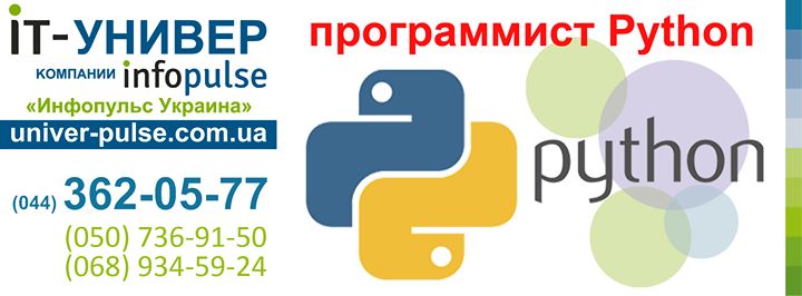 Курс Программист Python