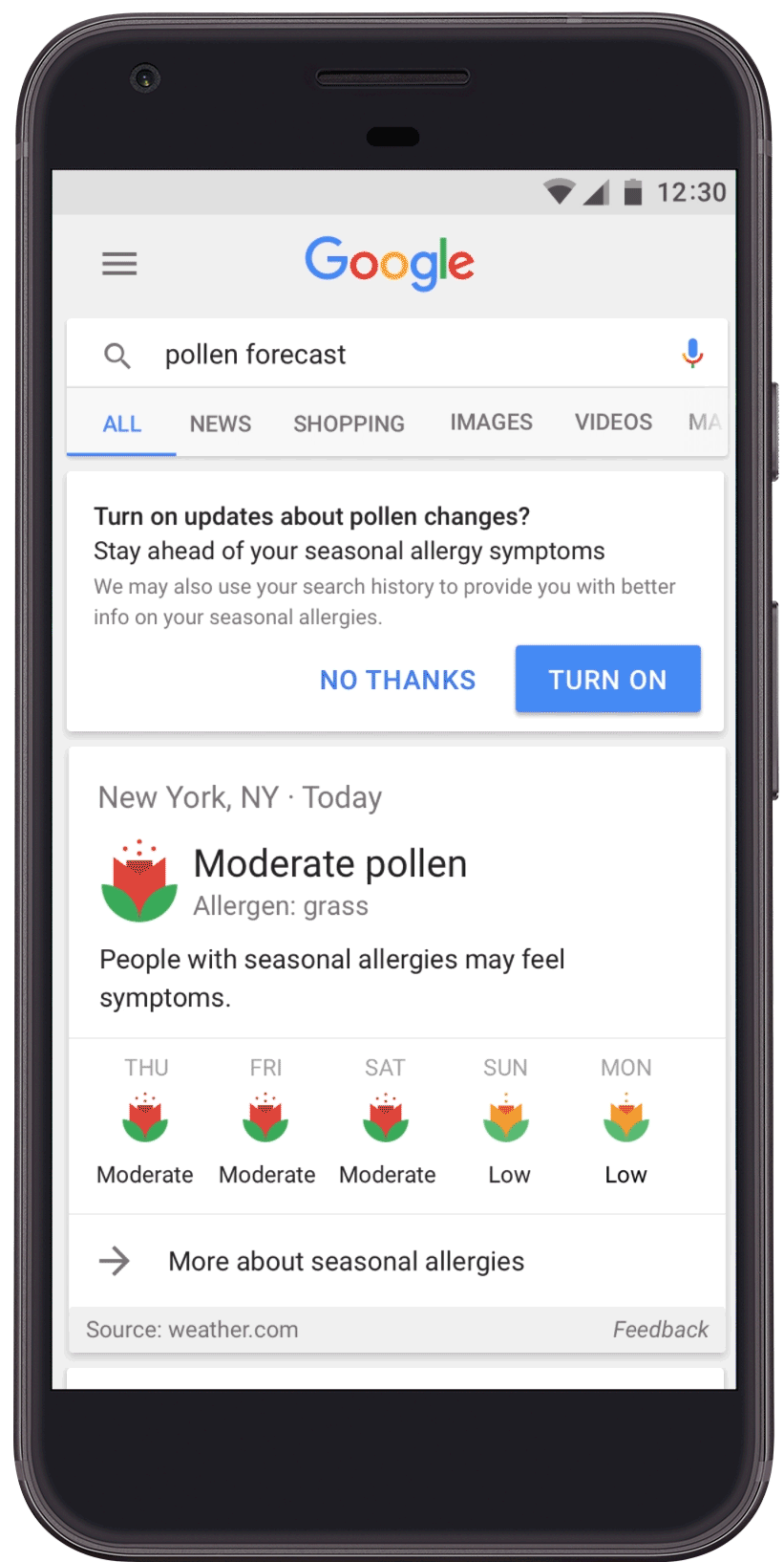 ​Новый сервис Google будет оповещать о превышении уровня аллергенов в воздухе